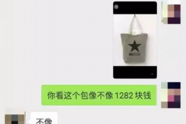 龙里要账公司更多成功案例详情